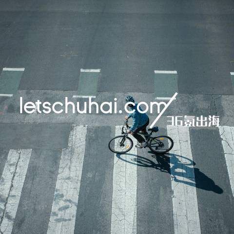大起大落之后，Ebike和两轮电动的出海远征才刚开始