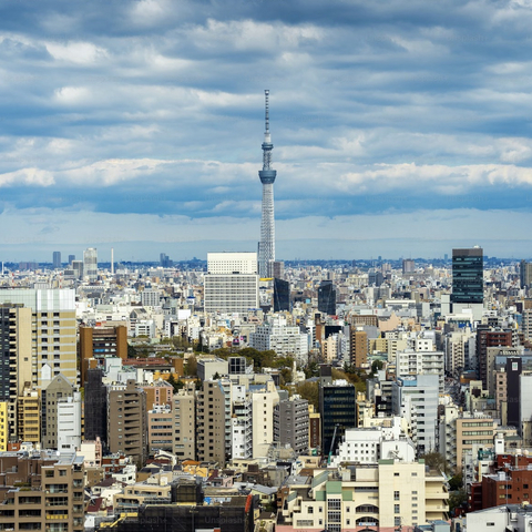日本电动车新势力，也去美国上市