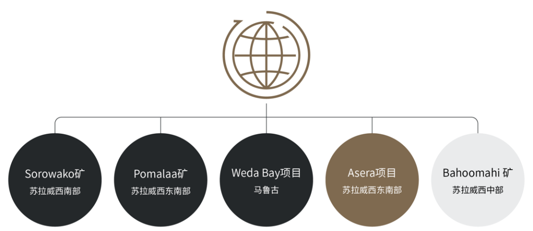 印度尼西亚的镍热潮——在电动汽车（EV）电池革命的浪潮中乘风破浪-3