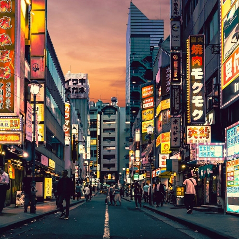 日本股市，走出“失落的三十年”？