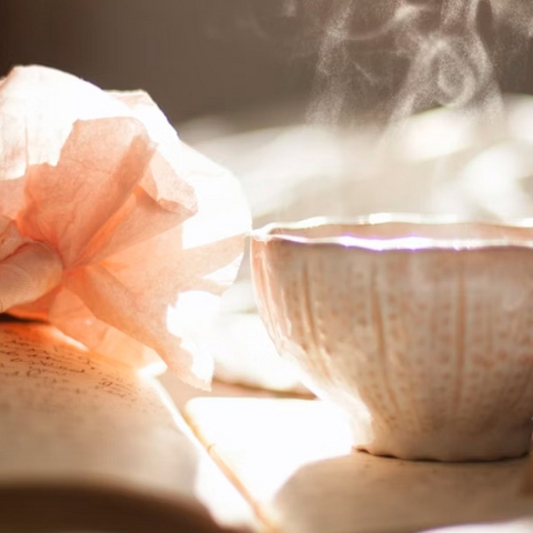 中式花茶出海:对话「茶乙己」张小秋